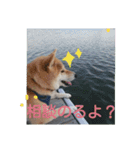 気ままに こん太君（個別スタンプ：9）