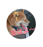 気ままに こん太君（個別スタンプ：14）
