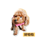 littleRainbow（個別スタンプ：1）
