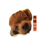 littleRainbow（個別スタンプ：3）