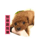 littleRainbow（個別スタンプ：7）