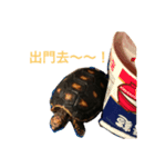 Red-legged diary（個別スタンプ：4）
