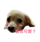 MACO is me（個別スタンプ：1）