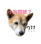 MACO is me（個別スタンプ：3）