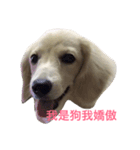 MACO is me（個別スタンプ：4）