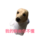 MACO is me（個別スタンプ：5）