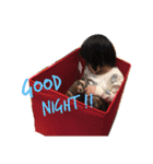 kawai  baby（個別スタンプ：31）