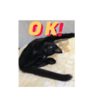 にゃーもんず 2（個別スタンプ：2）