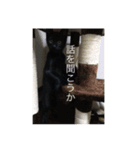 にゃーもんず 2（個別スタンプ：6）