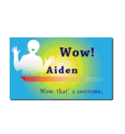 名刺風日常会話『Aiden』専用（個別スタンプ：14）