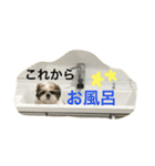 ころももむぎがぼ 愛犬（個別スタンプ：9）