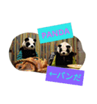 日本語と英語の基本挨拶スタンプ（個別スタンプ：39）