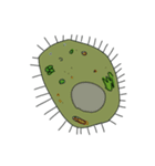 microorganismmmm（個別スタンプ：5）