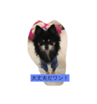 Romeo0426（個別スタンプ：8）