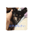 Romeo0426（個別スタンプ：9）