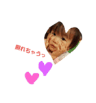 eeeemmi（個別スタンプ：4）