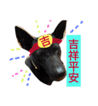 Wow wow dogs（個別スタンプ：15）