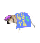 Wow wow dogs（個別スタンプ：23）