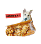 dogflower1（個別スタンプ：3）