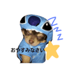 i  love dog（個別スタンプ：1）