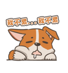 Tie Tie the corgi（個別スタンプ：2）