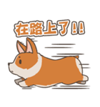 Tie Tie the corgi（個別スタンプ：3）