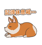 Tie Tie the corgi（個別スタンプ：4）