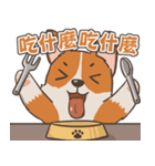 Tie Tie the corgi（個別スタンプ：5）