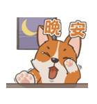 Tie Tie the corgi（個別スタンプ：9）