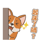 Tie Tie the corgi（個別スタンプ：13）