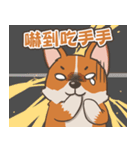 Tie Tie the corgi（個別スタンプ：14）