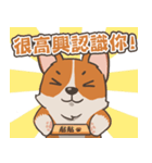 Tie Tie the corgi（個別スタンプ：15）