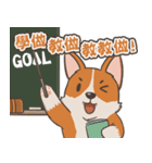 Tie Tie the corgi（個別スタンプ：16）