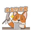 Tie Tie the corgi（個別スタンプ：19）