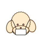 Apple The Poodle（個別スタンプ：10）