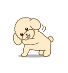Apple The Poodle（個別スタンプ：20）