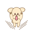 Apple The Poodle（個別スタンプ：33）