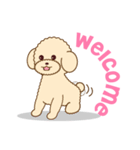 Apple The Poodle（個別スタンプ：37）