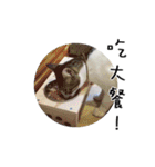 Adeul（個別スタンプ：7）