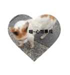 happy New New year（個別スタンプ：6）
