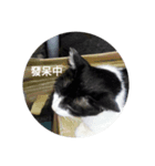 happy New New year（個別スタンプ：7）