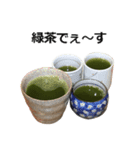 実写！緑茶（個別スタンプ：1）