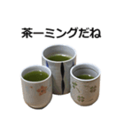 実写！緑茶（個別スタンプ：5）