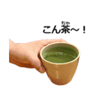 実写！緑茶（個別スタンプ：10）