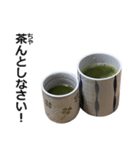 実写！緑茶（個別スタンプ：13）