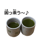 実写！緑茶（個別スタンプ：14）