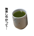 実写！緑茶（個別スタンプ：15）