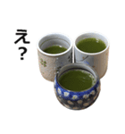 実写！緑茶（個別スタンプ：17）