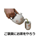 実写！緑茶（個別スタンプ：28）