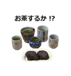 実写！緑茶（個別スタンプ：38）